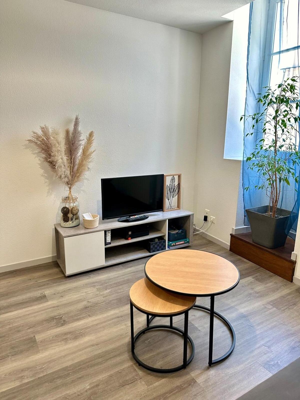Appartement Calme Au Coeur De La Ville Lons-le-Saunier Eksteriør billede